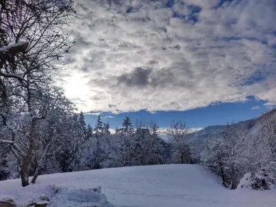 Ferienhaus für 6 Personen (50 m²) in Schlaming 4/10
