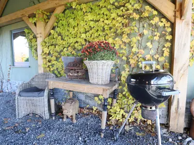 Ambiente / Nahaufnahme