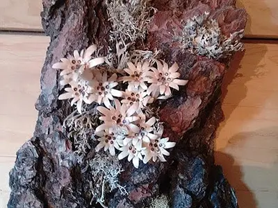 Dekoration "Edelweiß"