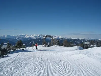 Ferienhaus für 8 Personen (120 m²) in Forstau 3/10