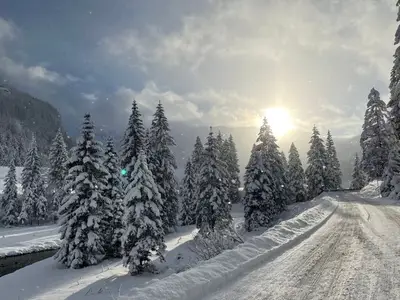Ferienhaus für 8 Personen (120 m²) in Forstau 7/10