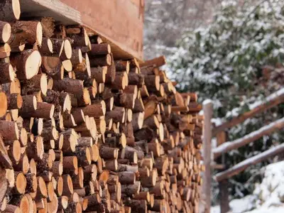 Ferienhaus für 8 Personen (140 m²) in St. Corona am Wechsel 4/10