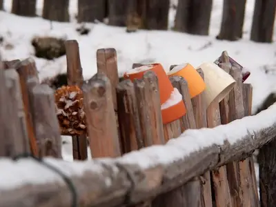 Ferienhaus für 8 Personen (140 m²) in St. Corona am Wechsel 5/10