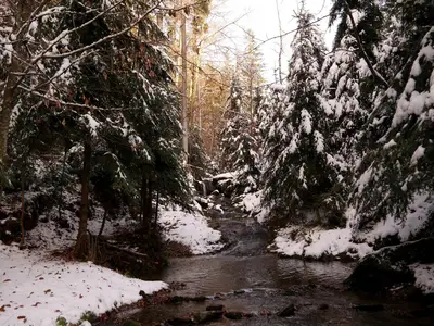 Winter am Falkenbach