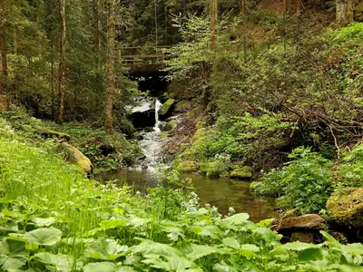 Bei der Falkenbachbrücke