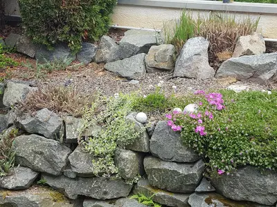 Ferienhaus Fee- Garten