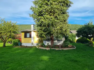 Haus im Grünen-Haus und Baum