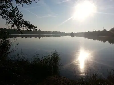 Ferienhaus für 5 Personen (60 m²) in Lübbenau/Spreewald 3/10