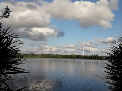 Ferienhaus für 5 Personen (60 m²) in Lübbenau/Spreewald 4/10