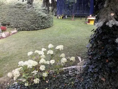 Ferienhaus für 5 Personen (60 m²) in Lübbenau/Spreewald 7/10