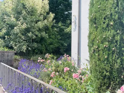 Außenansicht mit Vorgarten