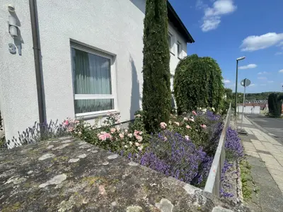 Blühstreifen vorm Haus