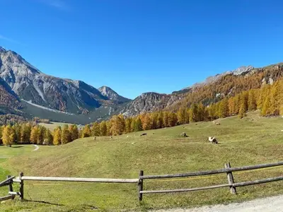 Fall/Herbst Pictures 2022 (Nov)