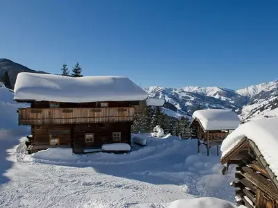 Ferienhaus für 12 Personen (120 m²) in Grossarl 6/10
