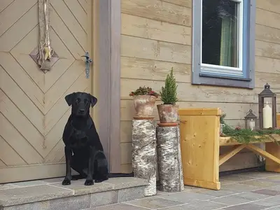 Ferienhaus für 4 Personen (70 m²) in Rengerberg 6/10