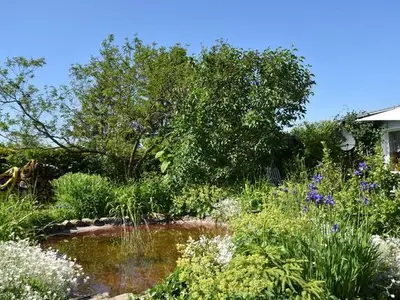 Ferienhaus für 5 Personen (60 m²) in Reddelich 4/10