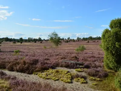 Ferienhaus für 5 Personen (100 m²) in Soltau 6/10