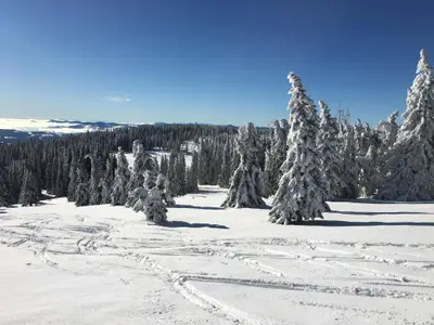 Skitour direkt vom Blockhaus weg