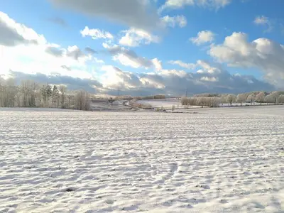 Ferienhaus für 6 Personen (125 m²) in Bad Lauterberg 1/10