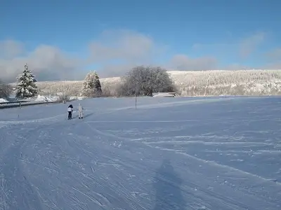 Ferienhaus für 6 Personen (125 m²) in Bad Lauterberg 2/10