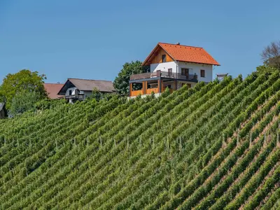 Ferienhaus für 5 Personen (160 m²) 7/10