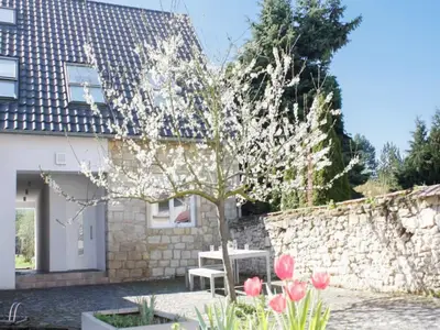 Hof_Reneklodenbluete