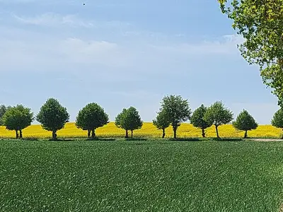Ferienhaus für 4 Personen (125 m²) in Bastorf 3/10