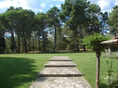 Garten. Garten - Zugangsweg