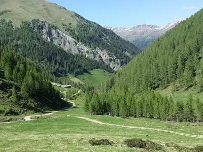 Blick auf die Alfenalm und das Villgratental