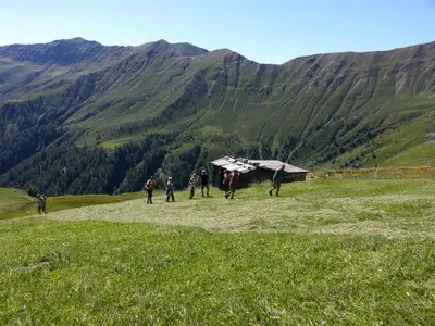 Auf der Hochalm in den Mesern