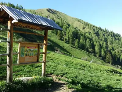 auf dem Weg zum Toblacher Pfannhorn