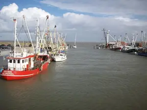 Ferienhaus für 3 Personen (55 m²) in Dornumersiel