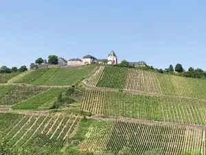 Ferienhaus für 4 Personen (70 m²) in Pünderich