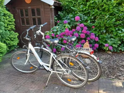 Ferienhaus für 6 Personen (120 m²) in Jemgum 7/10