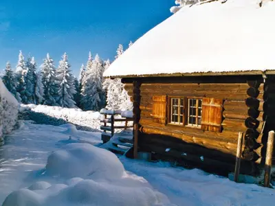 Ferienhaus für 3 Personen (46 m²) in Altmünster 1/9