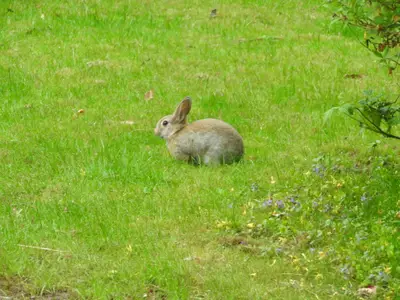 Ferienhaus für 2 Personen (55 m²) in Barkau 9/10