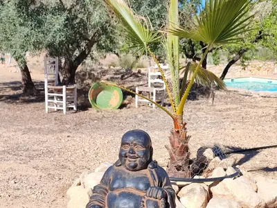 Ferienhaus für 6 Personen (270 m²) in Ricote 7/10