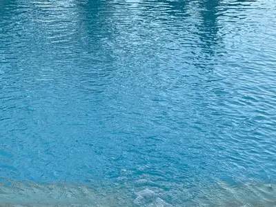 Ferienhaus für 6 Personen (130 m²) in Marchena 2/10