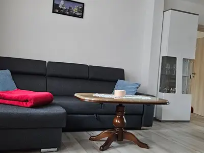 Ferienhaus für 6 Personen (110 m²) in Blankenburg (Harz) 9/10