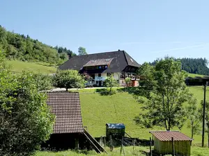 Ferienhaus für 4 Personen (92 m²) in Schenkenzell