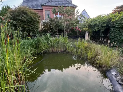 Ferienhaus für 4 Personen (130 m²) in Barth 3/10