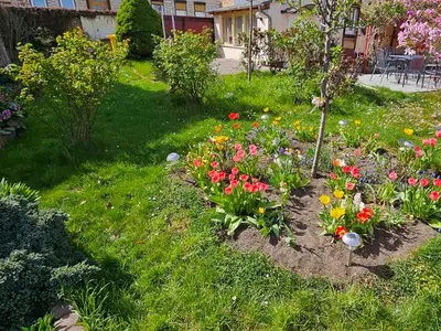 Ferienhaus für 6 Personen (110 m²) in Blankenburg (Harz) 3/10