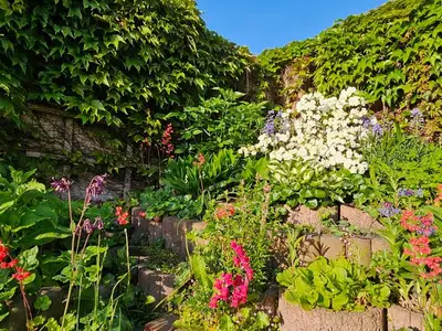 Ferienhaus für 6 Personen (110 m²) in Blankenburg (Harz) 7/10