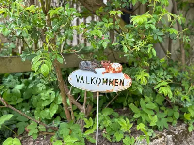 Ferienhaus für 12 Personen (190 m²) in Osby 7/10