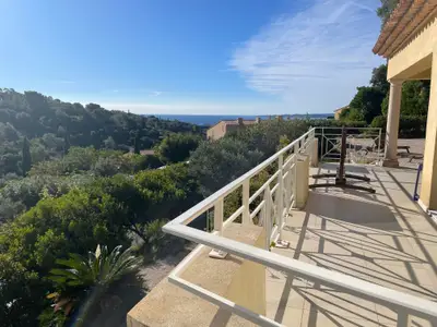 Blick von Seitenterrasse in unteren Garten