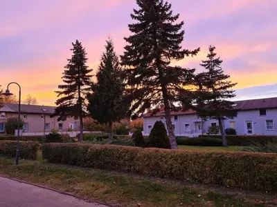 Ferienhaus für 8 Personen (100 m²) in Göhren Lebbin 10/10