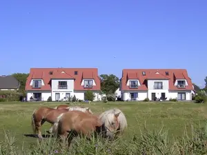 Ferienhaus für 4 Personen (39 m²) in Vitte