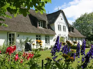 Ferienhaus für 4 Personen (75 m²) in Uelvesbüll