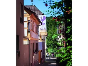 Ferienhaus für 2 Personen (25 m²) in Marktheidenfeld