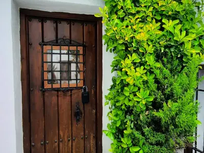 Ferienhaus für 5 Personen (60 m²) in Benadalid 4/10